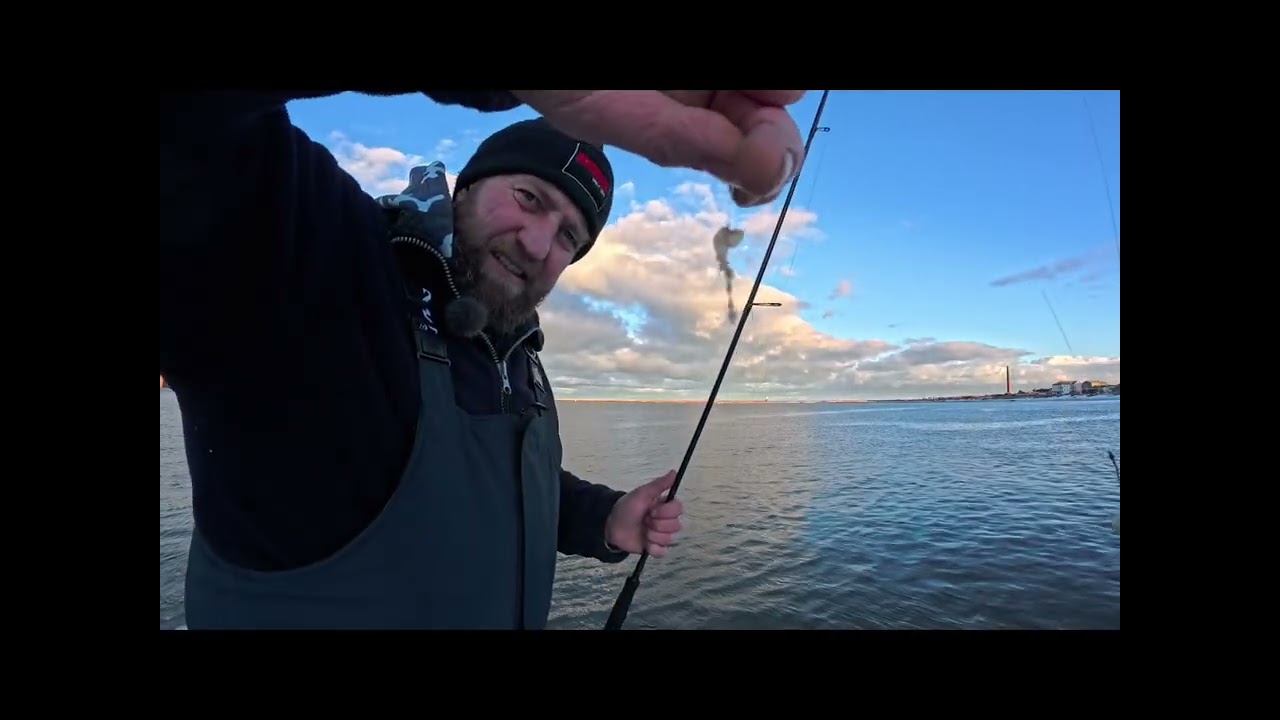 short lrf session in the tweed estuary trying out my new rod (savage gear sg2 3g-14g)