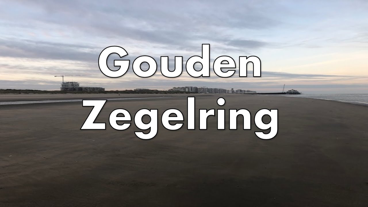 Metaaldetectie op het strand. De aanhouder wint met juwelen en een gouden zegelring als beloning.