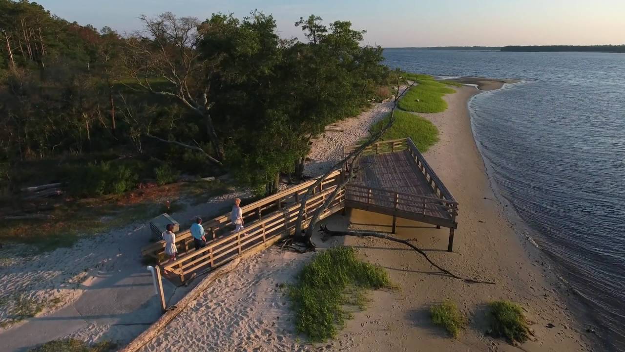 Carolina Beach State Park - Carolina Beach, NC