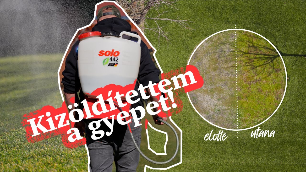 💛➡️💚 5 Napos Zöldítő Küldetés: Az Alga és a Nitrogén robbantja a gyeped!