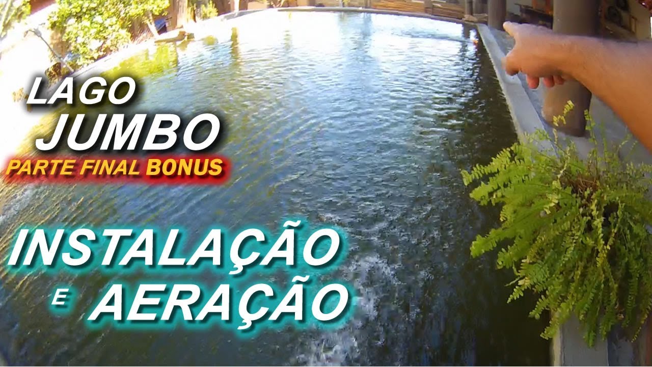 LAGO ORNAMENTAL JUMBO PARTE FINAL BONUS BOMBA E ULTRA VIOLETA Canal Saalada