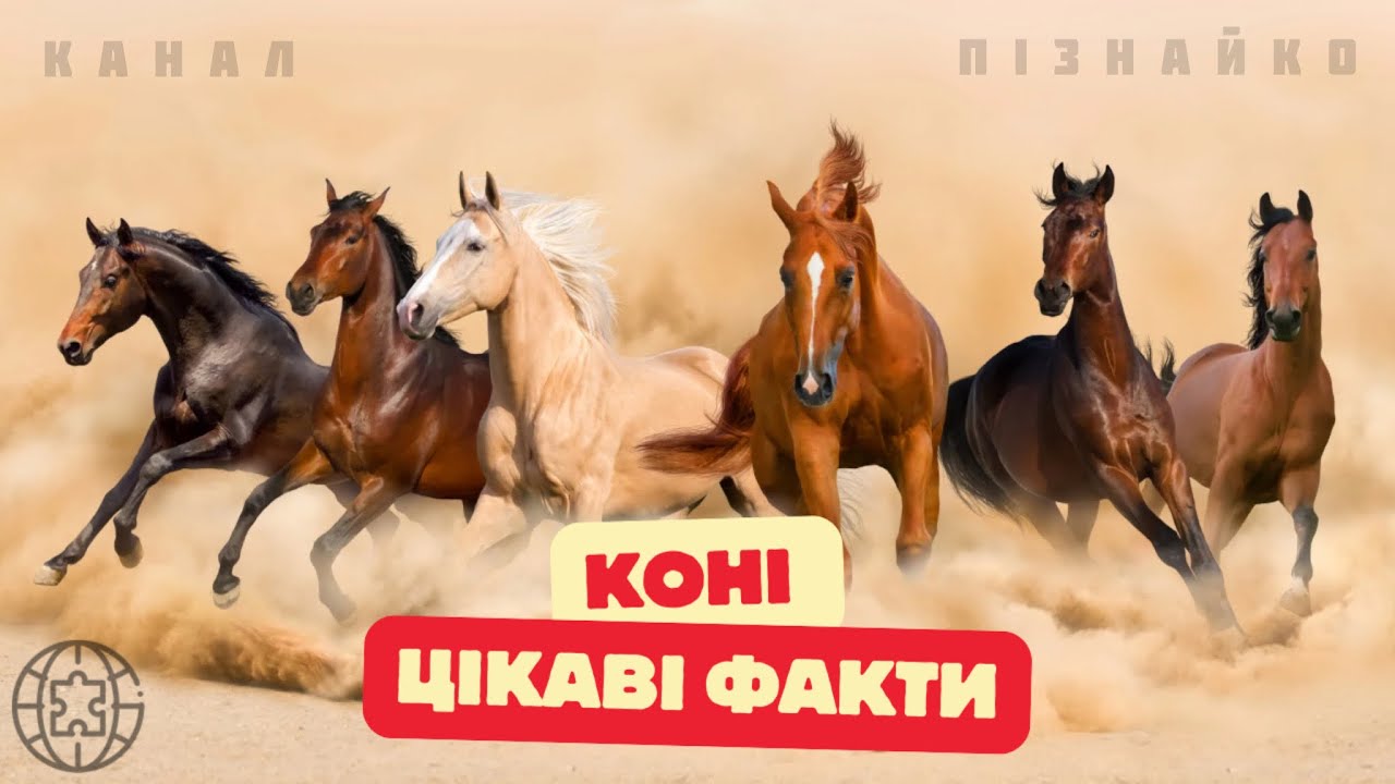 КОНІ : цікаві факти