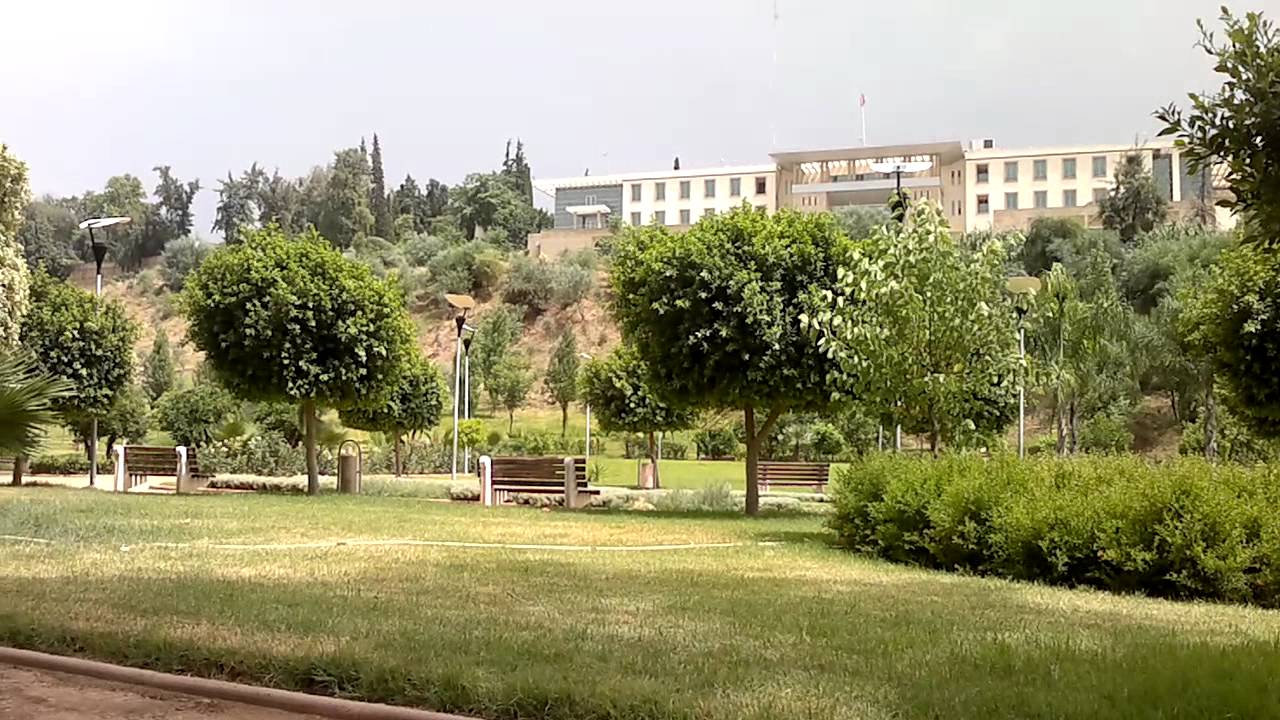 هـــــــذا وعدك. يامسكين،...