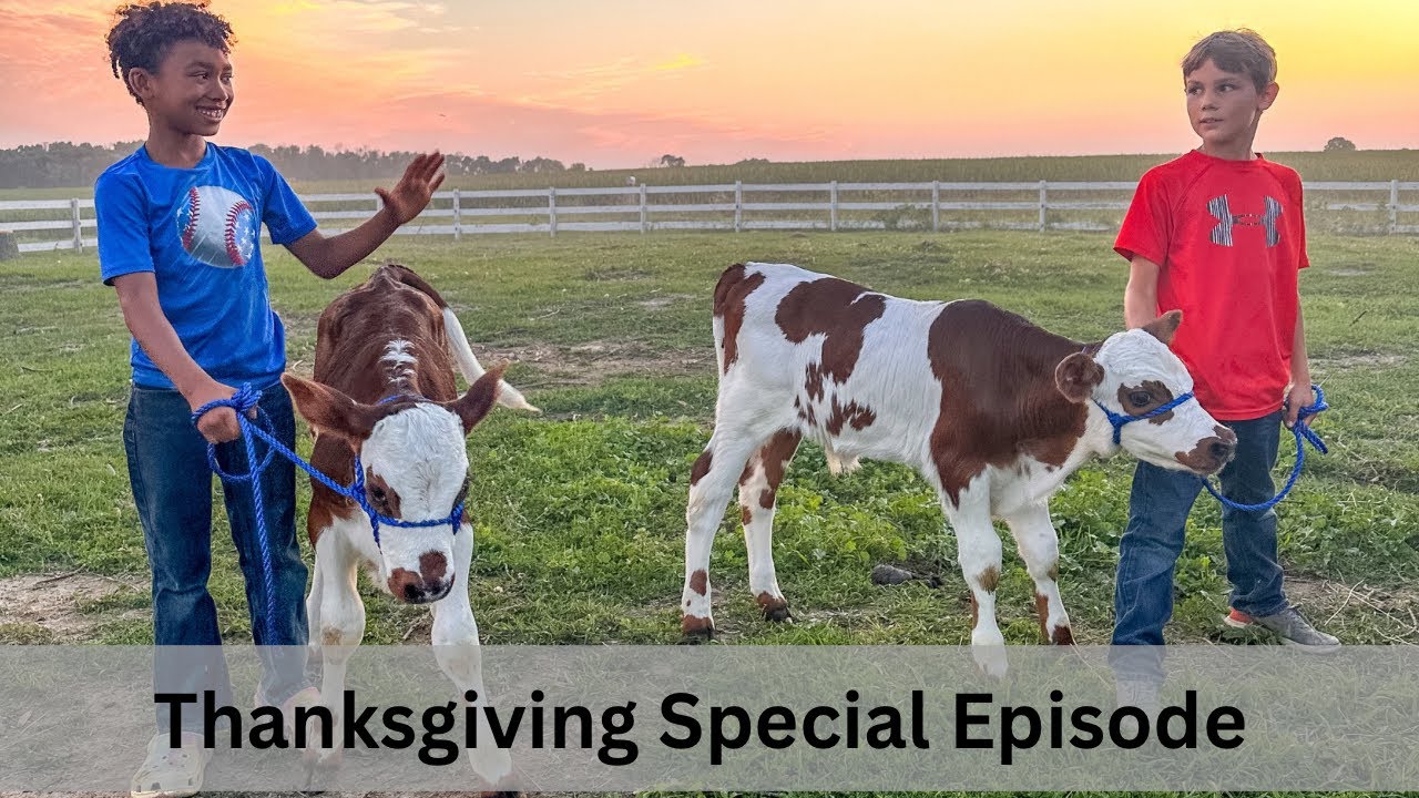 Homestead Thanksgiving, a Video Diary of our Year.
