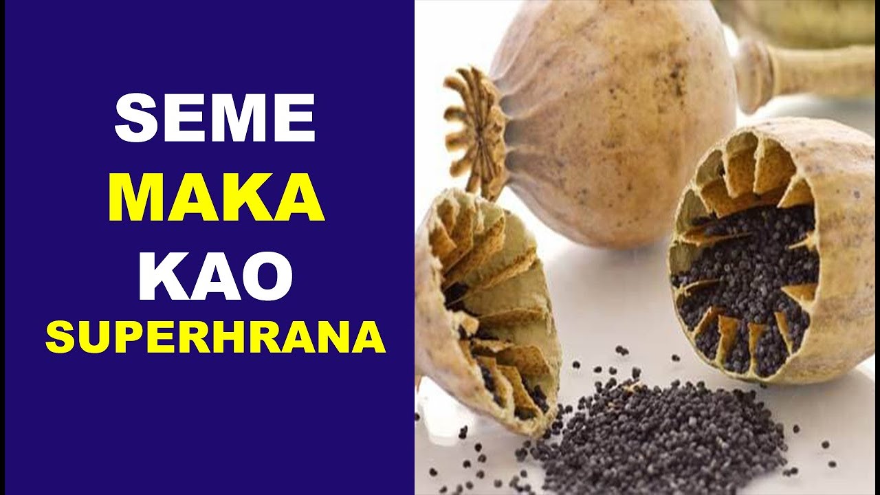 Seme maka kao superhrana - dr Bojana Mandić