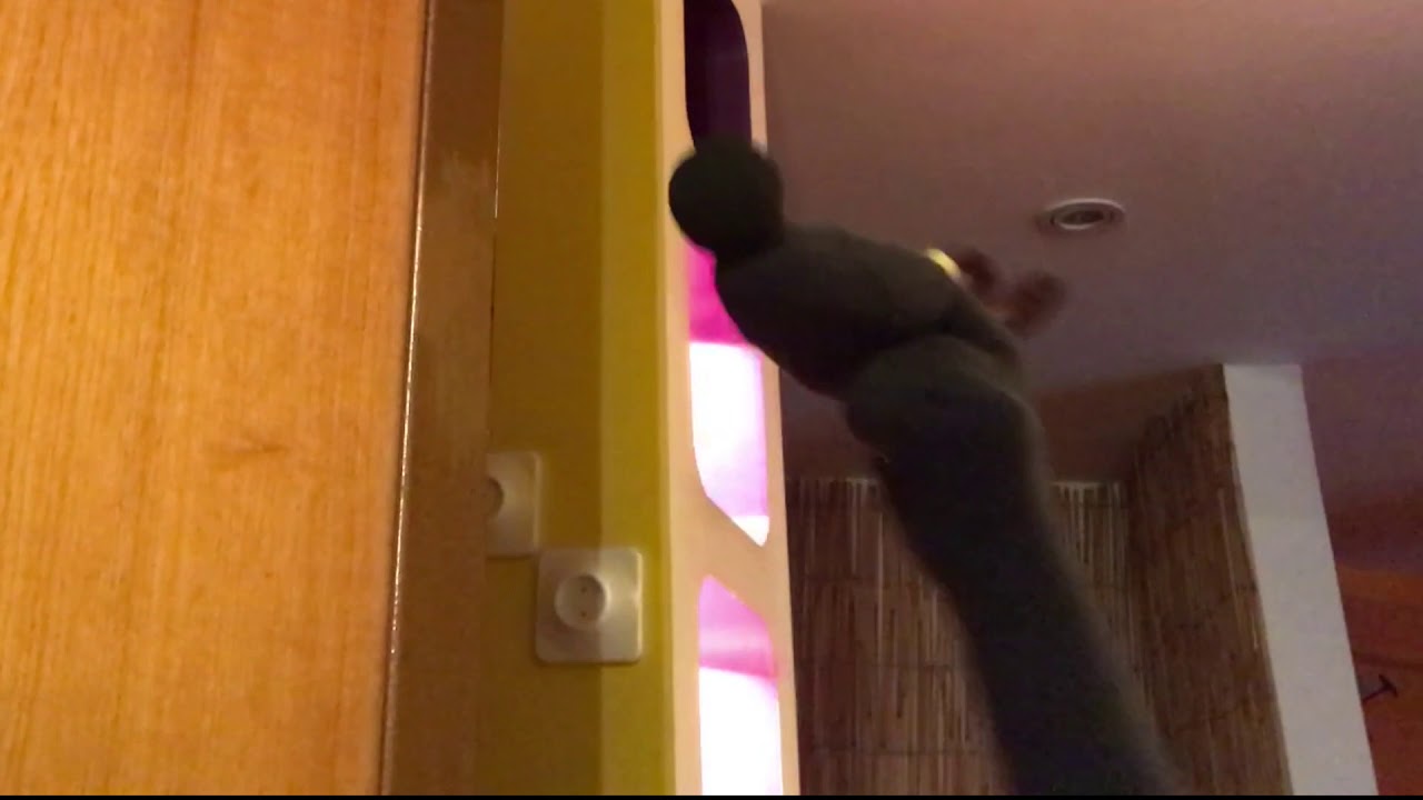 PUPAZZO CRIMINALE 