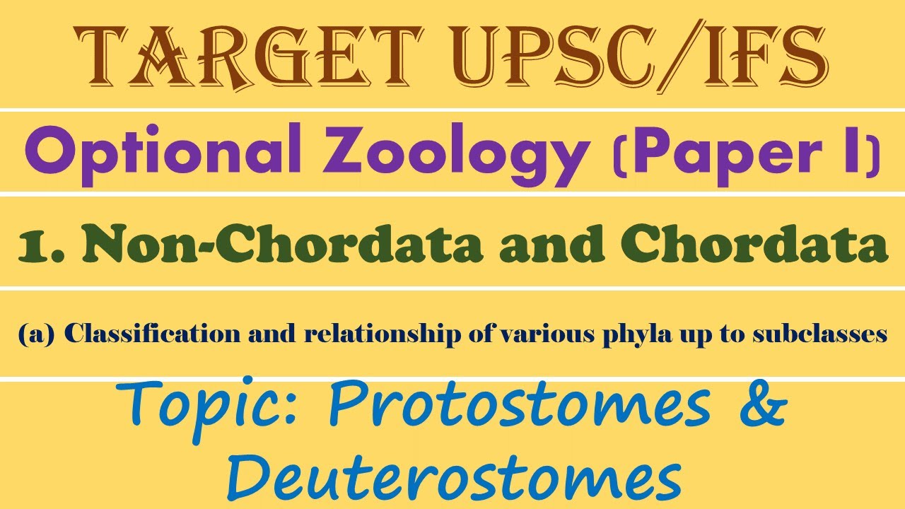 Protostomes and Deuterostomes | UPSC | Boards | NEET | UG | PG