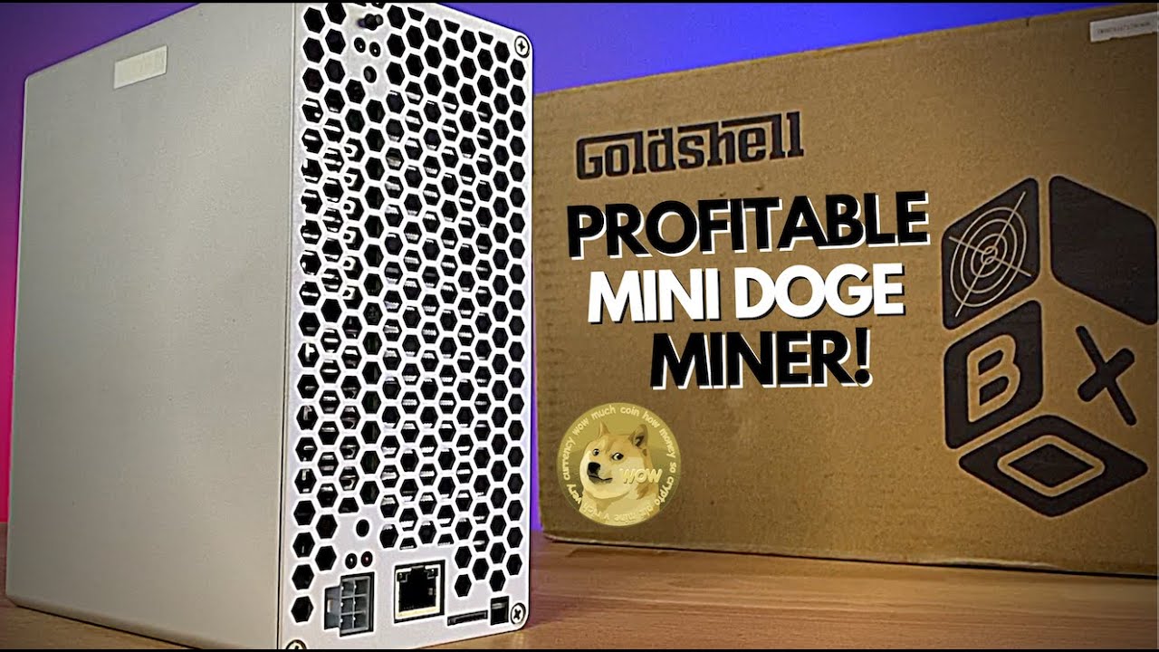 Goldshell Mini Doge and LiteCoin Miner - Make Passive income everyday!! UnBoxing and 3 day Profits!!