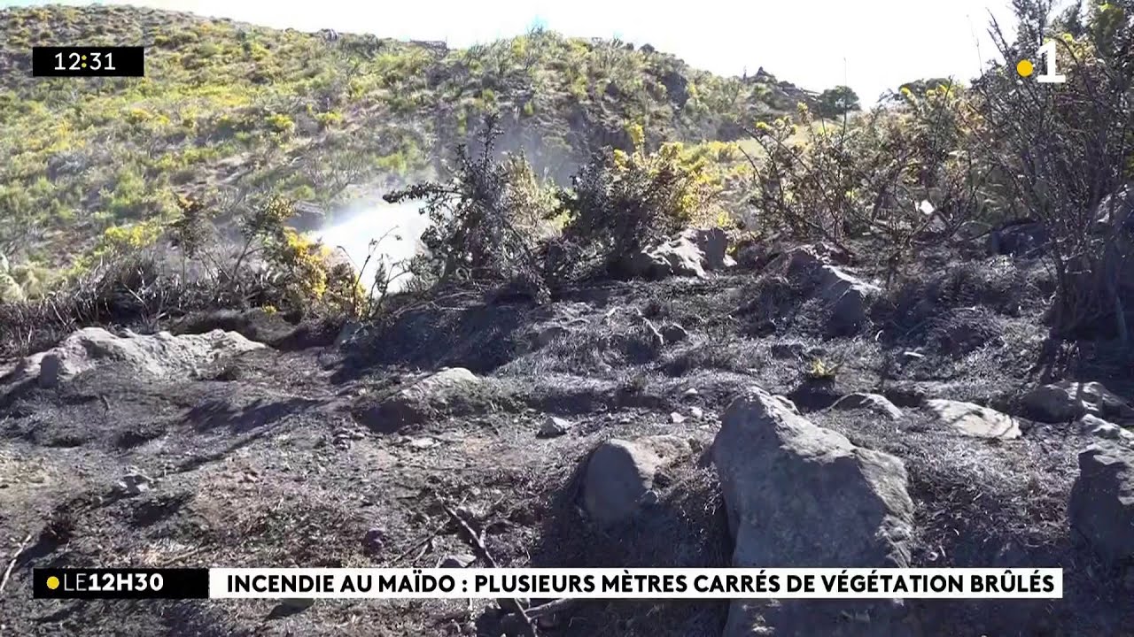 Incendie au belvédère du Maïdo : 350 mètres carrés de végétations ont été brûlés la nuit dernière