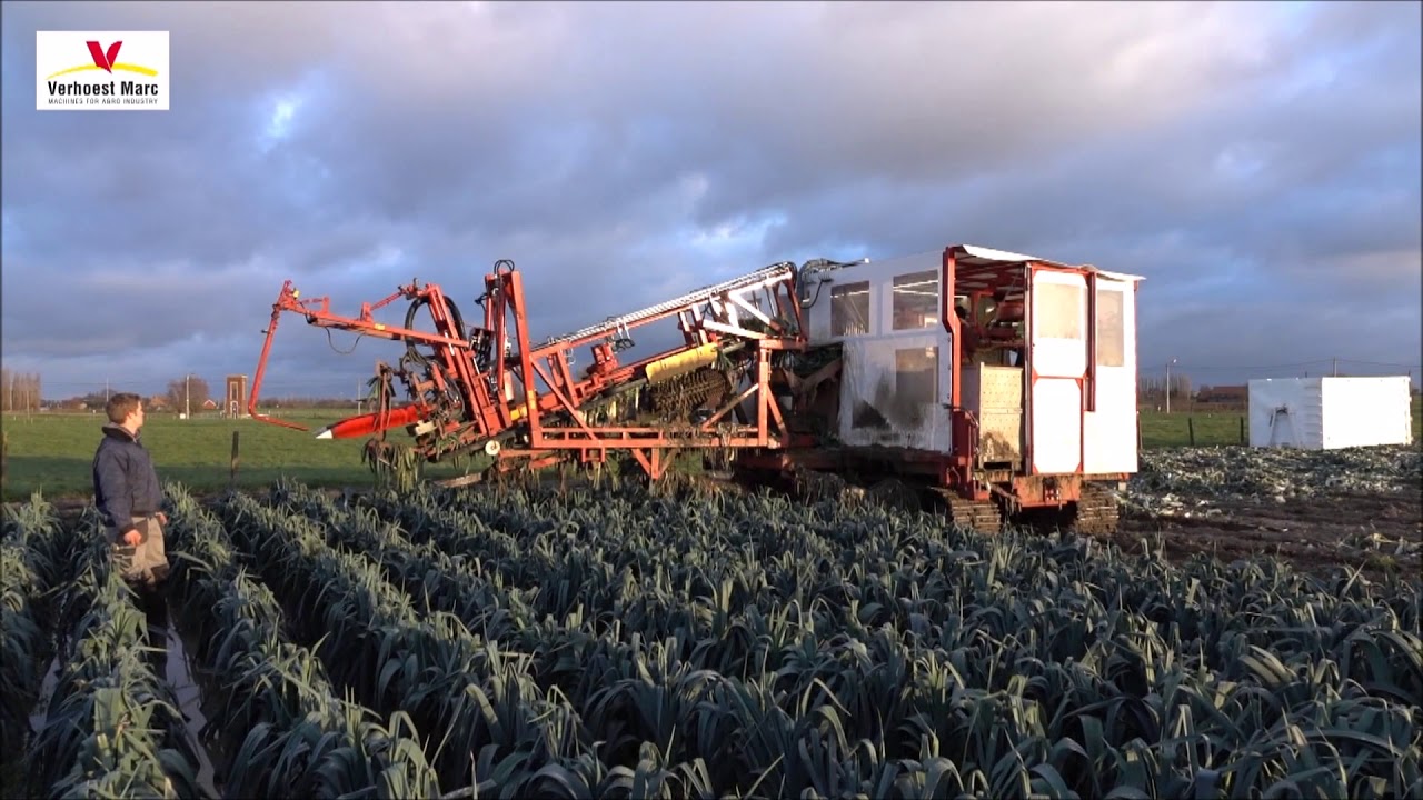 Preirooier, leekharvester, arracheuse poireaux, Industrierooier Verhoest op rupsen