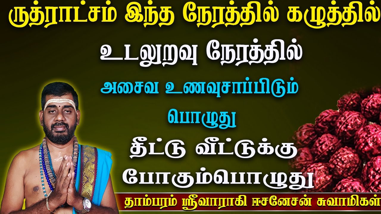 Rudraksham || யார் எத்தனை முகம் ருத்ராட்சம் போட வேண்டும் என்பதே தெரிந்து கொள்ளுங்கள்