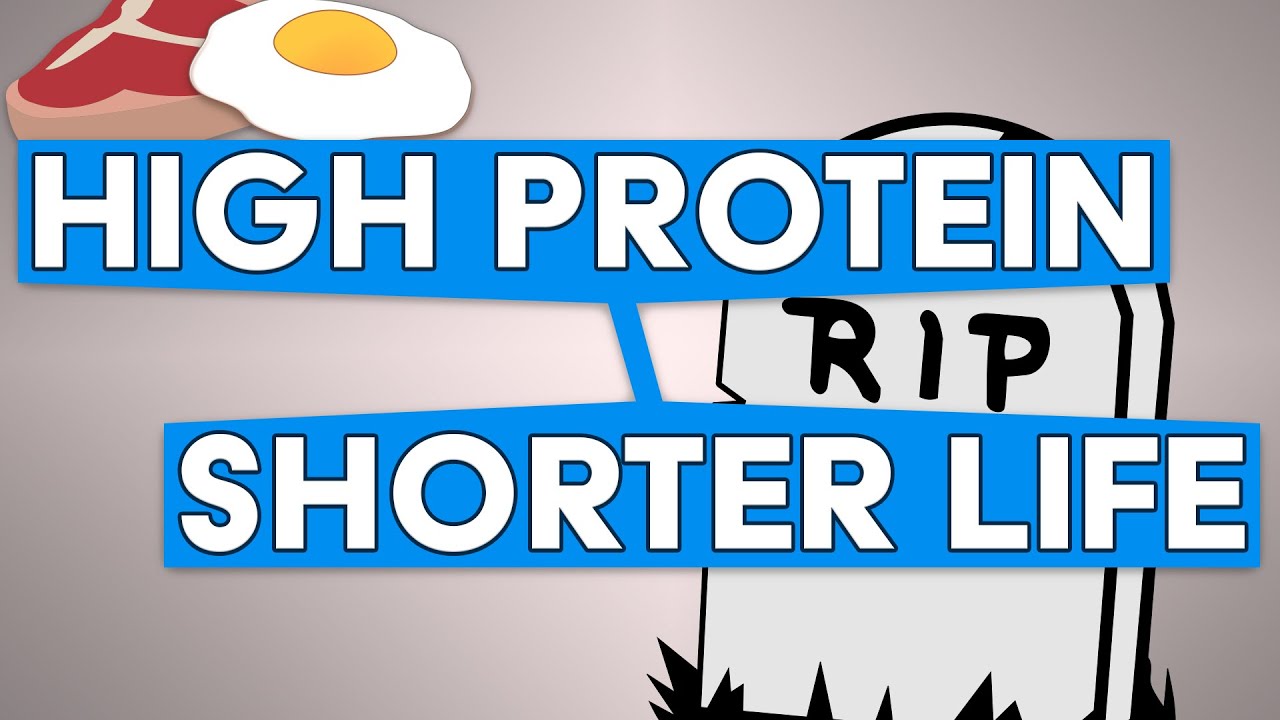 Live LONGER By Eating LESS Protein