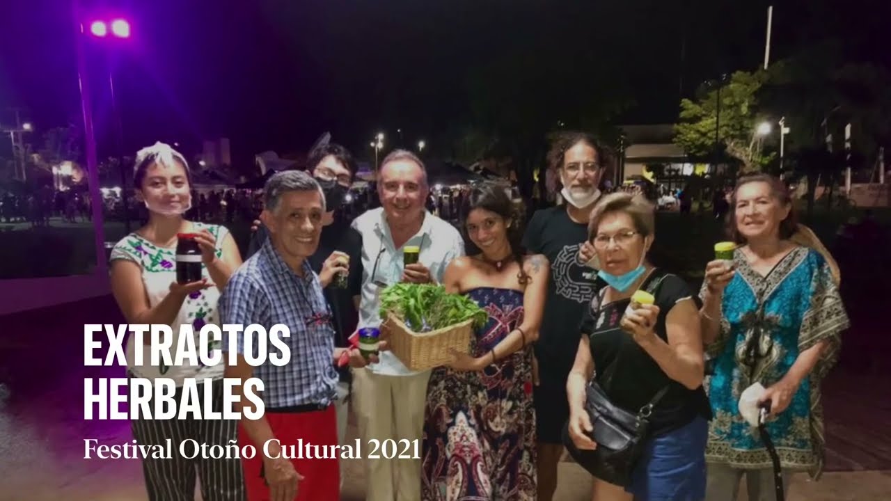 Taller de Extractos Herbales