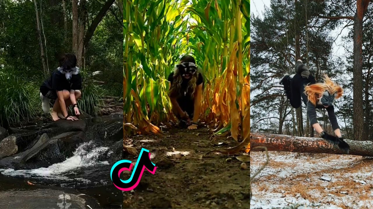 Therian TikTok Compilation #18😻