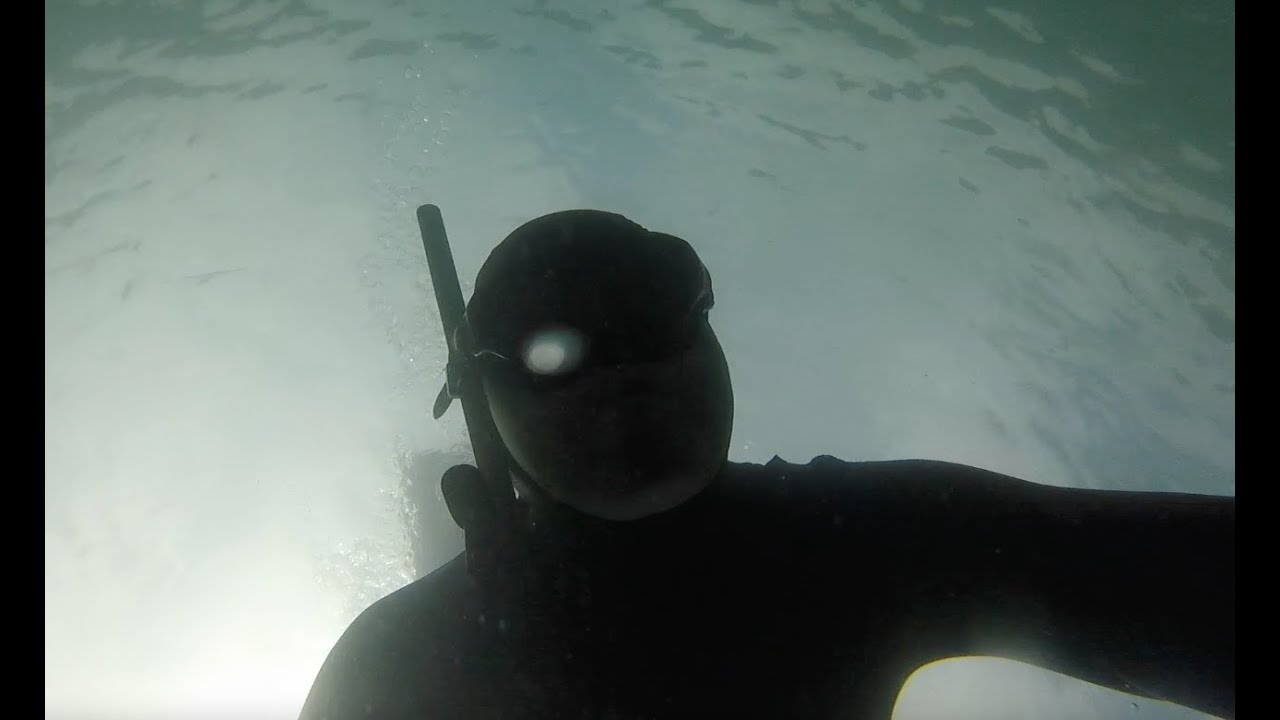 I Used to Spearfish ...
