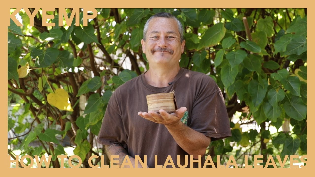How To Clean Lauhala Leaves