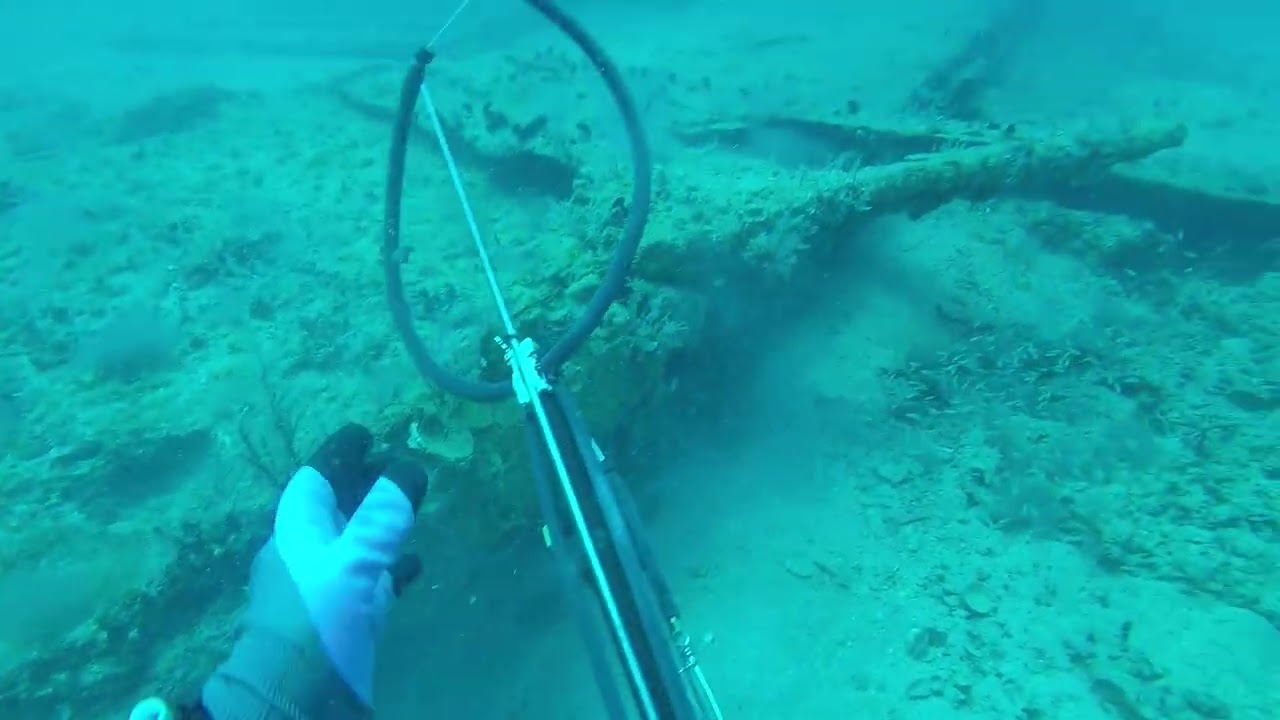 Old Homemade  Anchor and Amberjack Shot