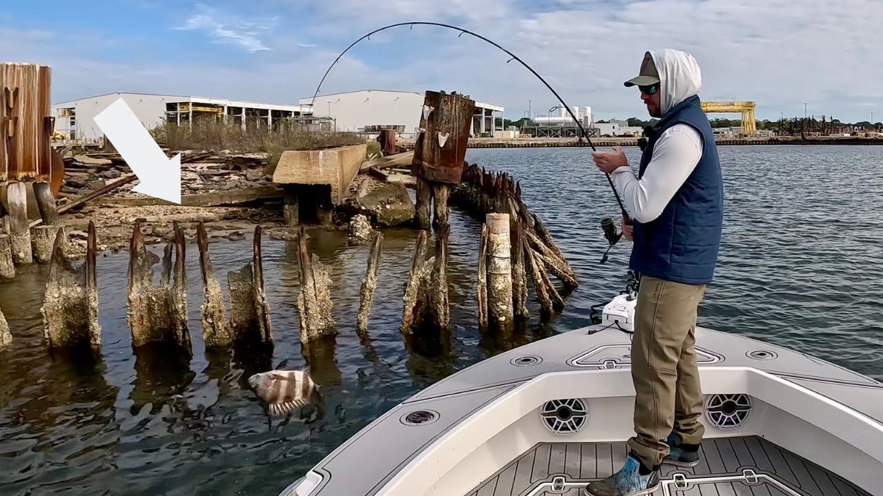 These Fish Were Piled Up Around This Beat Up Rusty Bulkhead!