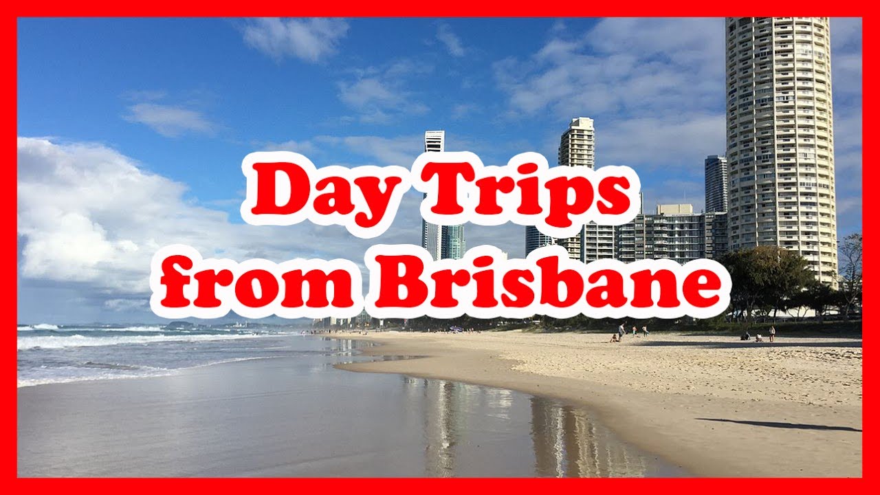 5 Top-Rated Day Trips from Brisbane, Queensland | Australia Day Tours Guide