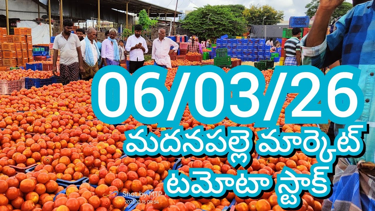 06-03-26 Madanapalle Tomato Market price Today || Today Tomato Market Rate in Madanapalle #today