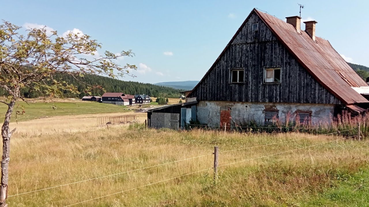 Nieudana wyprawa w BIESZCZADY :((( wilki, dziki i spalona Dydiówka :(