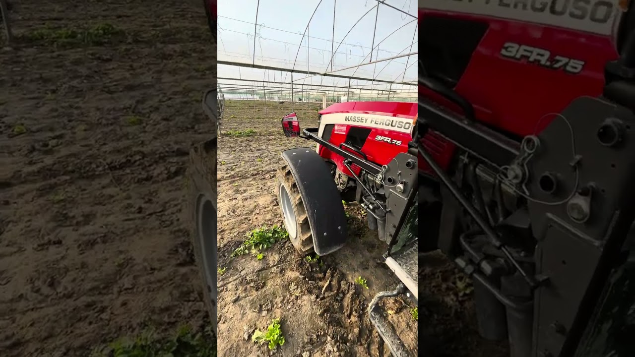 MASSEY FERGUSON 3fr 75 7li  70 cm patlatma sürümü. #masseyferguson #farming #greenhouse