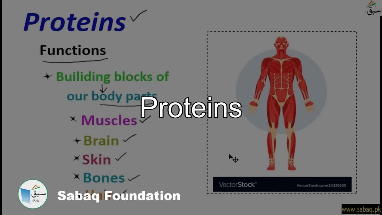 Proteins, General Science Lecture | Sabaq.pk