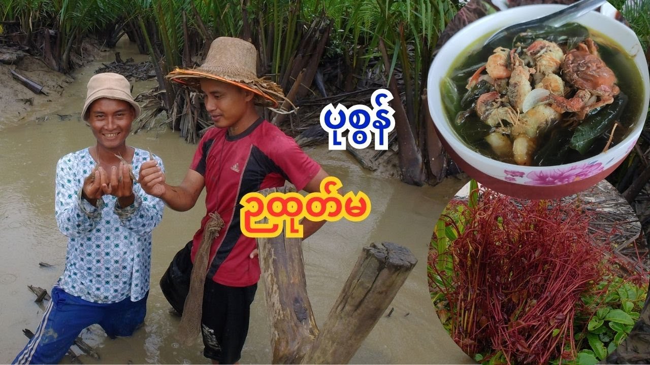 ပုစွန်ဉမထုတ်နဲ့ ကျီးကလိမ်ရွက်နုဟင်း ရင်နှောင်ညွန့် တိုစရာ😋