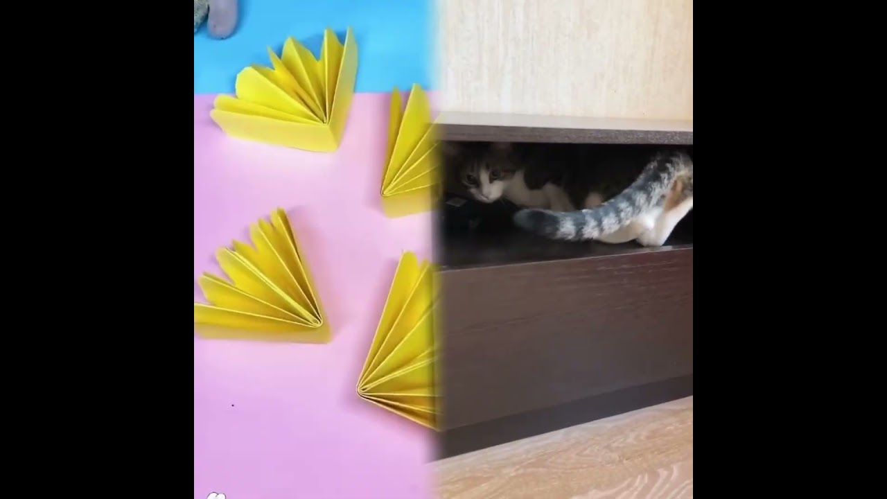МЯТИНЫ ЗАБАВНЫЕ ПРИВЫЧКИ