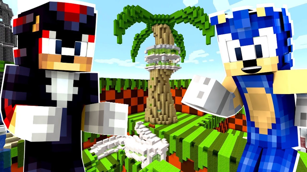 Minecraft Sonic The Hedgehog - Sonic And Shadow Team Up! [99]