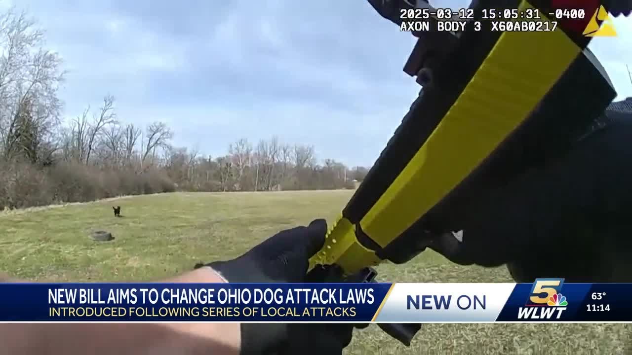 New bill aims to change Ohio dog attack laws, empower dog wardens