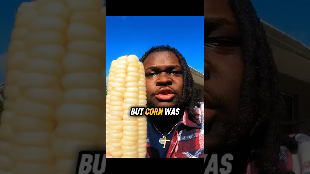 Урожай, потерявший свой истинный цвет 🌽
