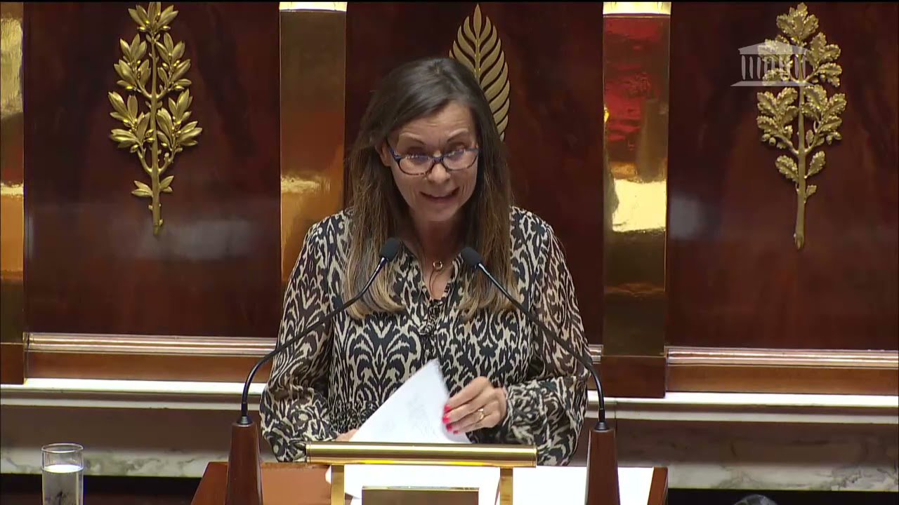 Isabelle Santiago - Discours sur la loi relative &agrave; la protection des enfants