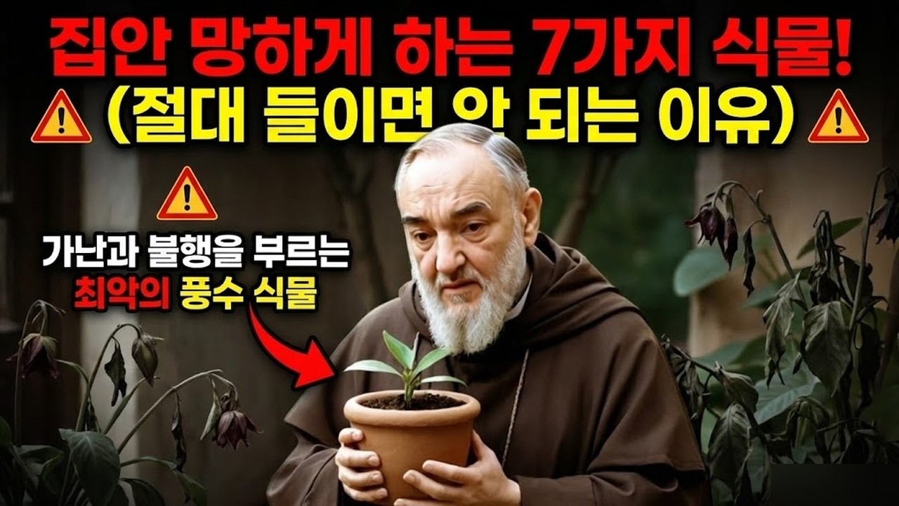 비오 신부님의 비밀 자녀가 냉담 중이라면 이렇게 하세요!