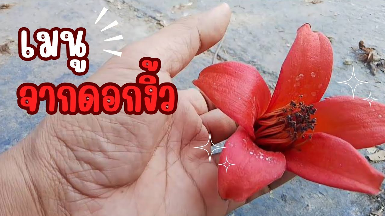 เมนูดอกงิ้ว 2 เมนูกินกับน้ำจิ้มไก่ก็แซ่บ กินกับตำส้มก็อร่อยครับ !! 😋