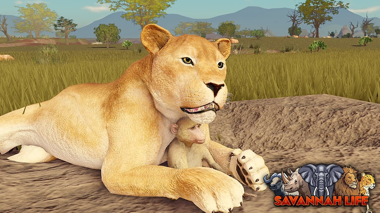 Меня принимают в львиный прайд! | ROBLOX Savannah Life
