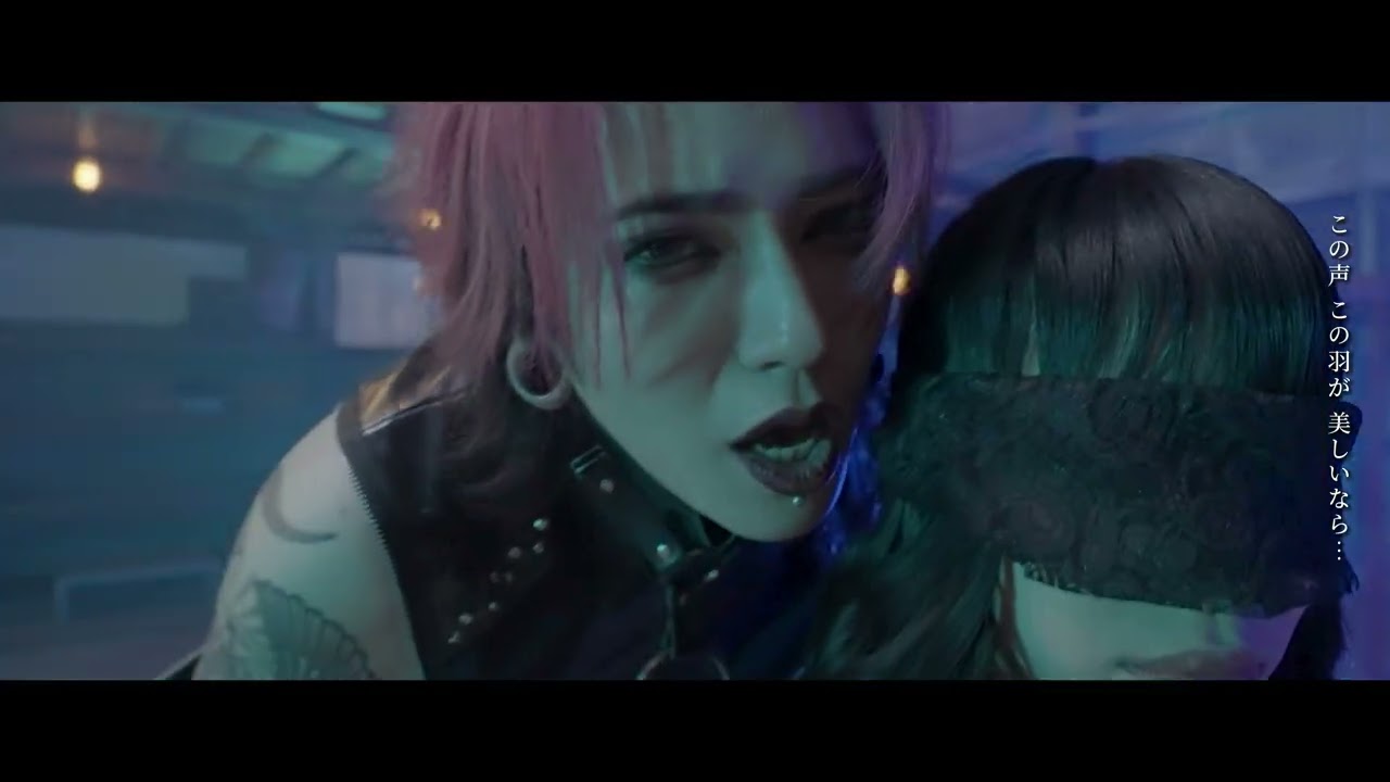 ニーチェ『CROWS』MUSIC VIDEO
