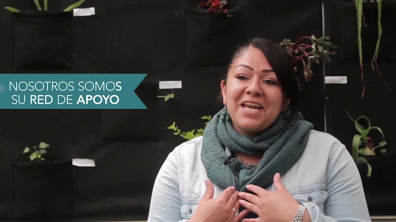 Vivir los valores KOAJ / Permoda LTDA. - SOSTENIBILIDAD - Cine Posible 2019