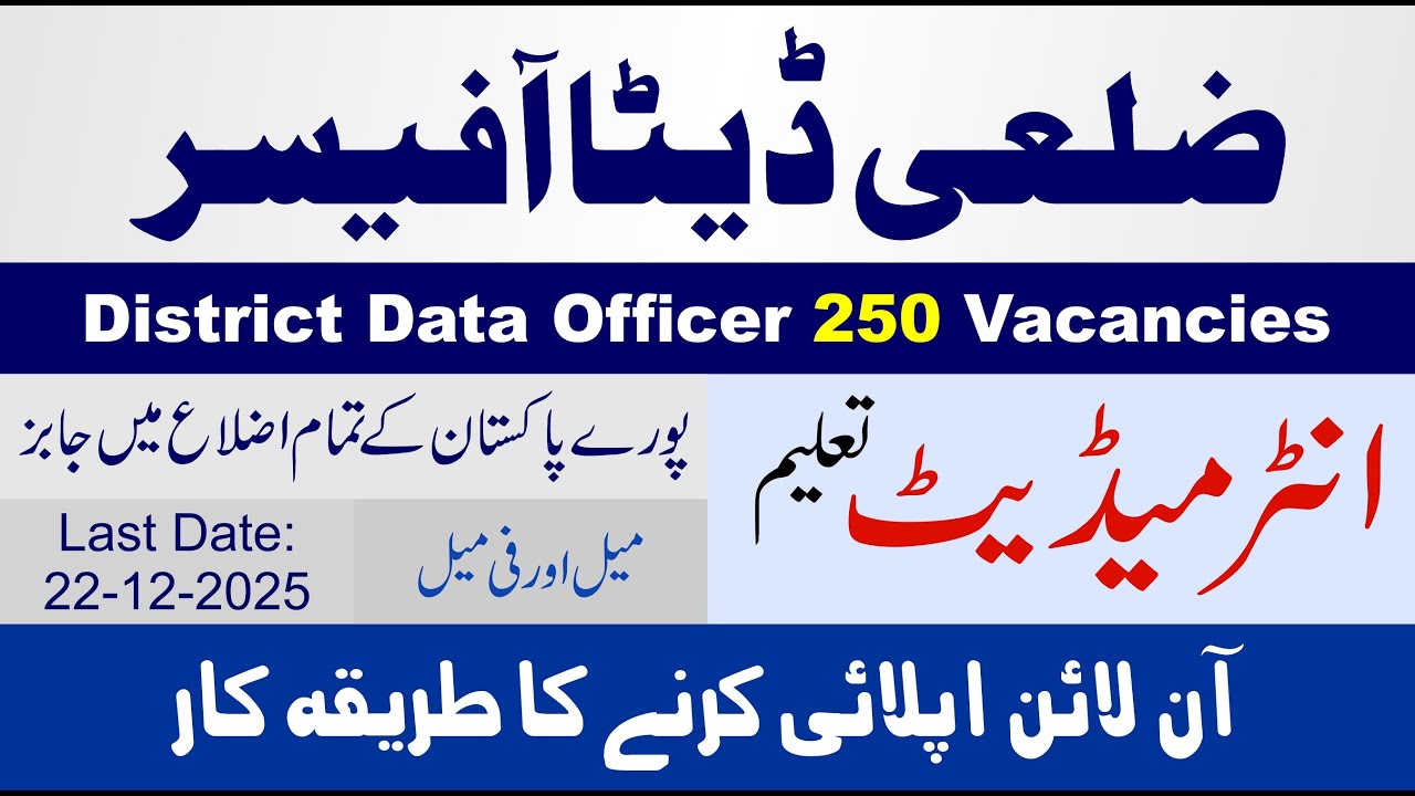 District Data Officer Jobs Online Apply | Urban Unit Jobs 2025 | How To Apply Punjab Jobs Portal