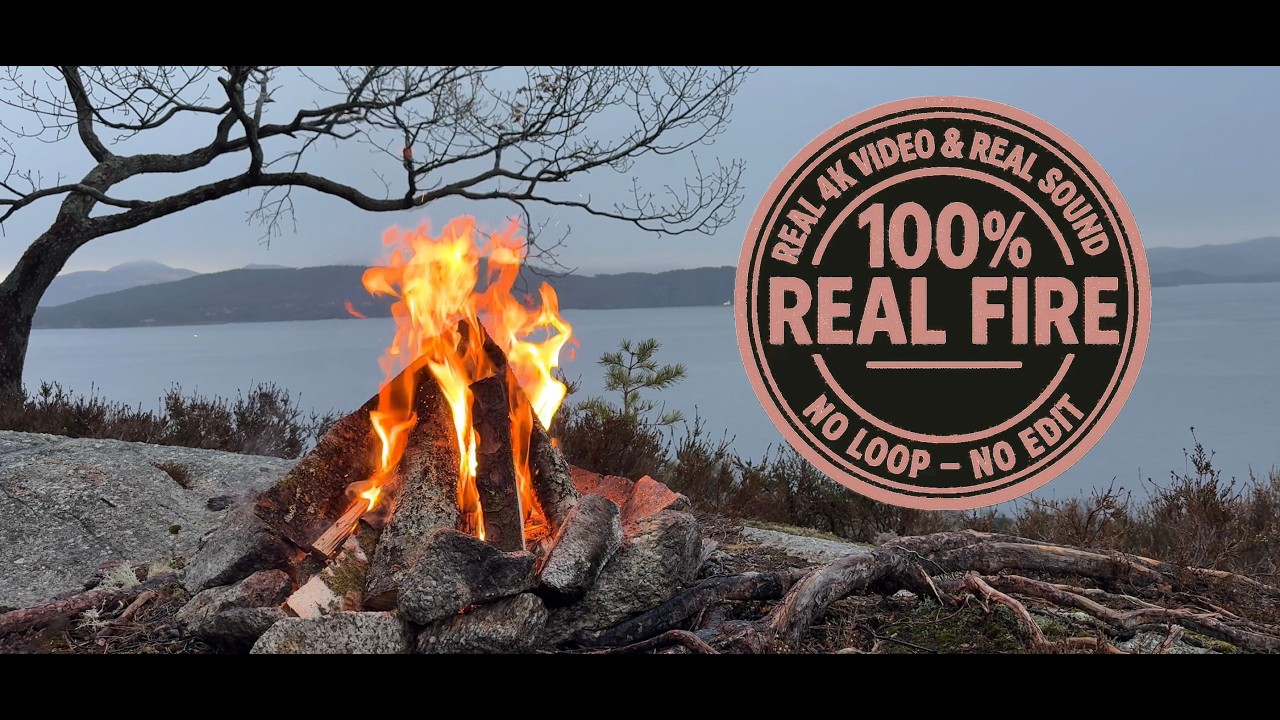 4K TV Fireplace - Early Spring Hilltop Campfire in Gentle Rain | Real Fire, No Loop