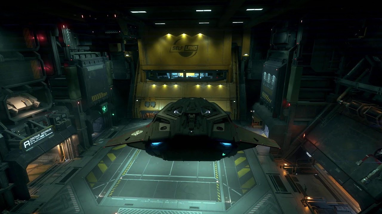 ✨ LIVE ✨QRAVEY IN STAR CITIZEN 4.6