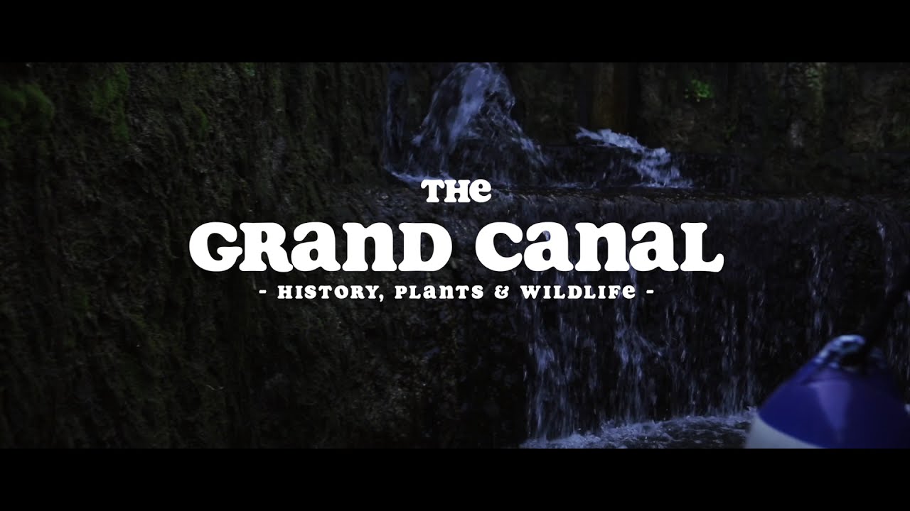 The Grand Canal: History (Part 1)