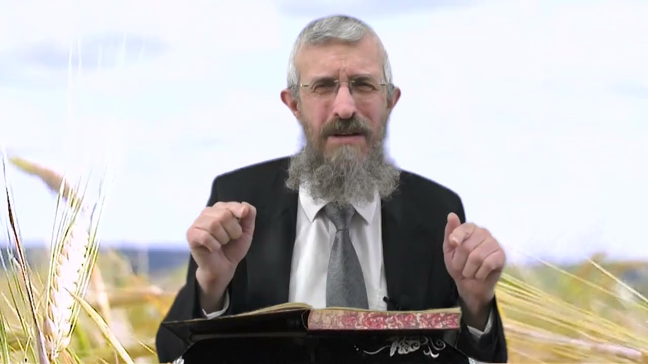 מסכת מנחות דף סב - 8 דקות של לומדות ועמקות בדרך הלימוד הישיבתית [Menachot 62]