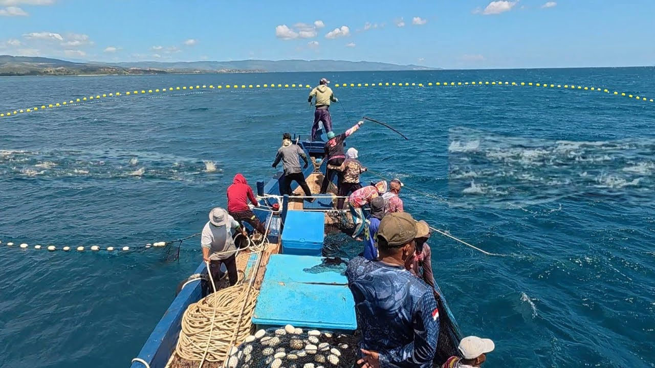 Pukat cincin, Nelayan Indonesia Dapat Banyak Ikan, luar biasa hasil tangkapan nelayan Indonesia