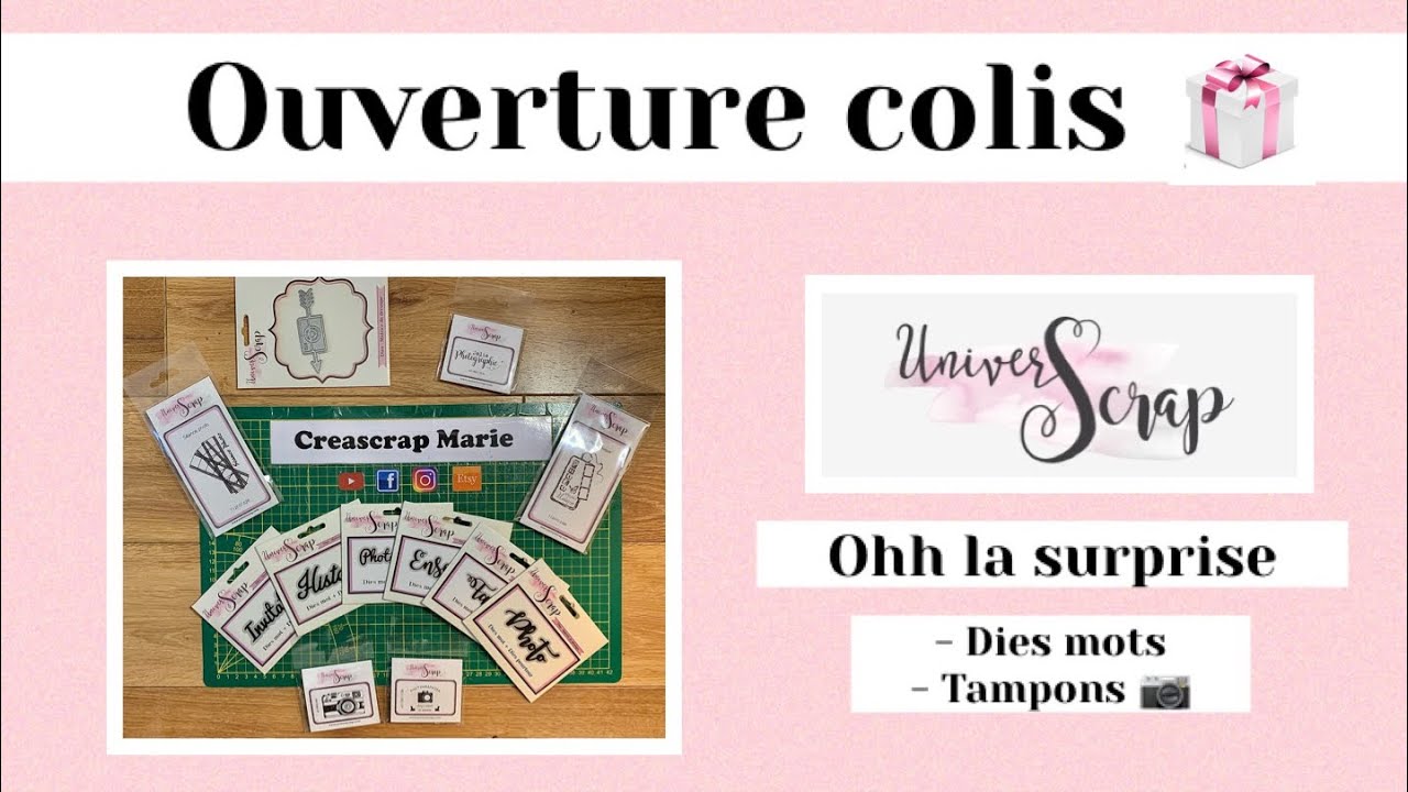 Ouverture de colis UNIVERSCRAP Ohh la Surprise 🤩Tampons 📷, Dies mots