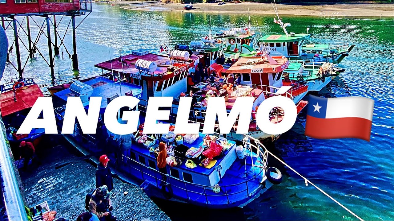 ANGELMÓ 🦀 MERCADO TÍPICO DEL SUR DE CHILE - COCINAMOS PASTA CON MARISCOS  - Puerto Montt