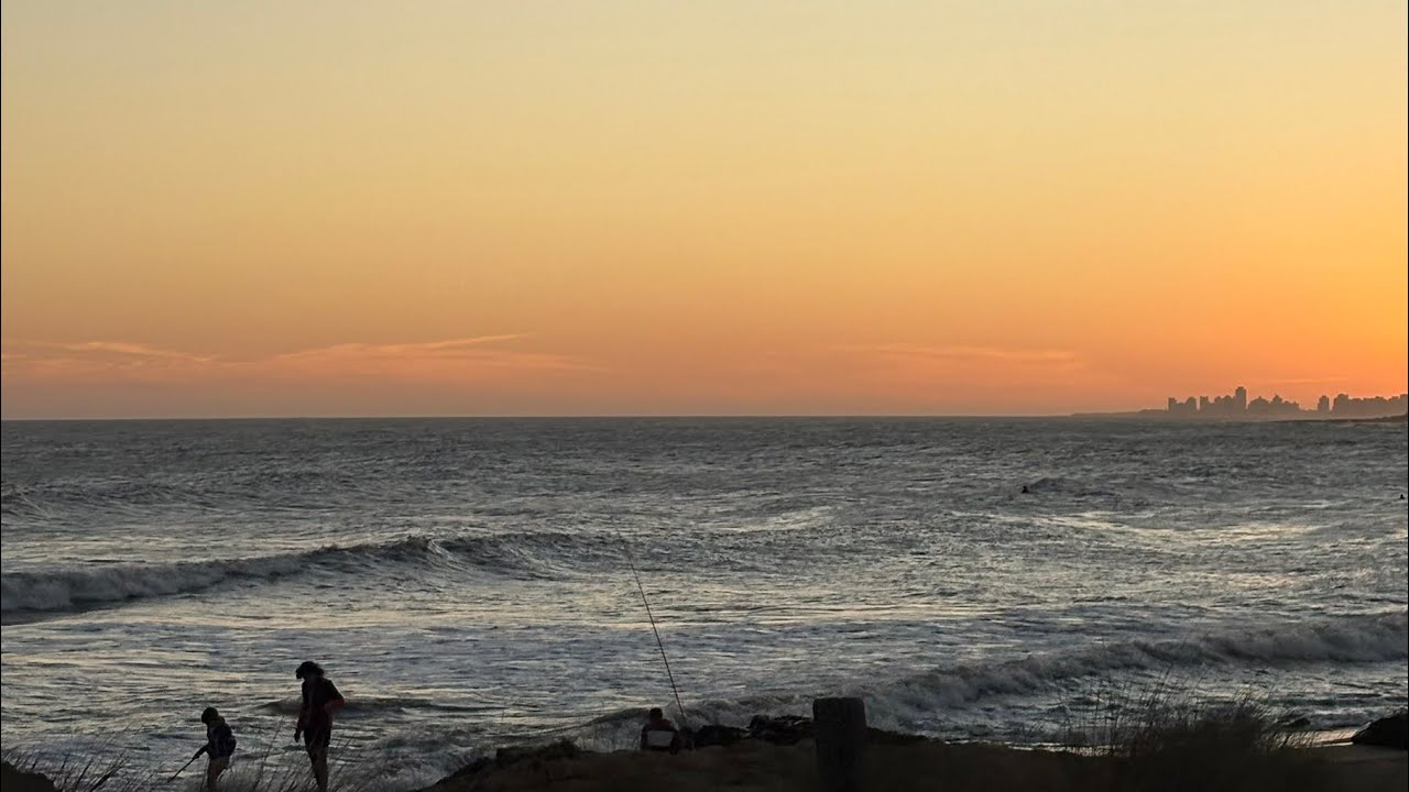 algunos días en Punta ꥟ 