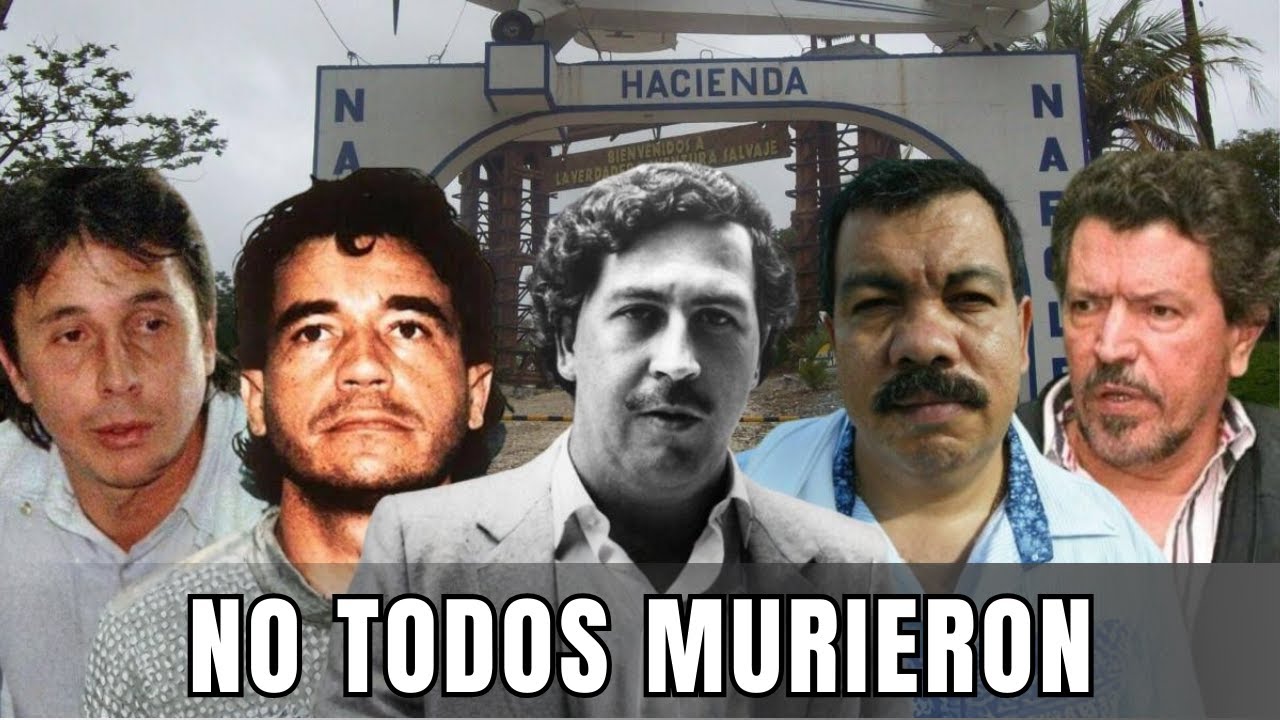 Los 5 Socios de Escobar que Siguen Vivos | Documental Completo