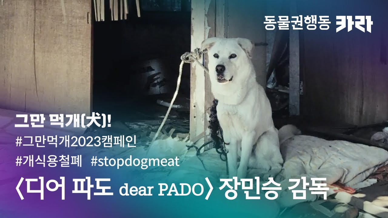 [그만먹개(犬) 캠페인 2023] 장민승 감독 '디어 파도 (dear PADO)'