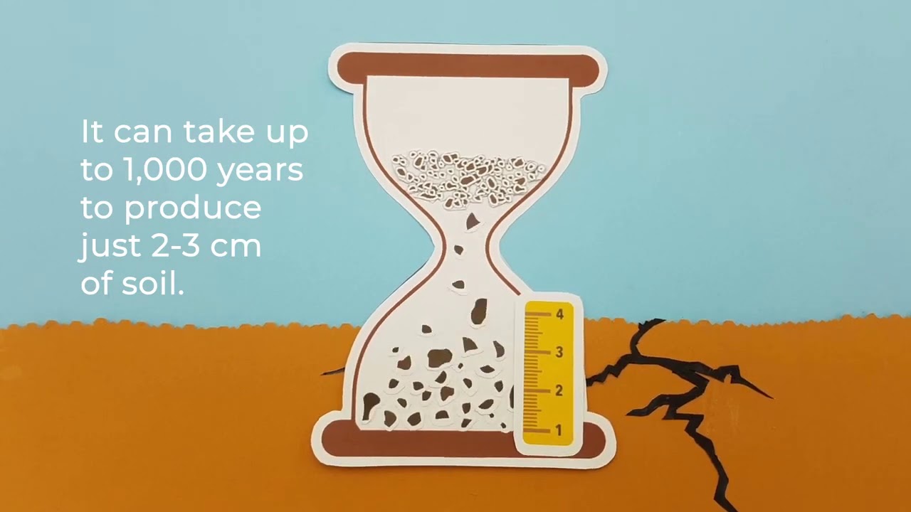 Stop soil erosion, keep soil where it belongs!